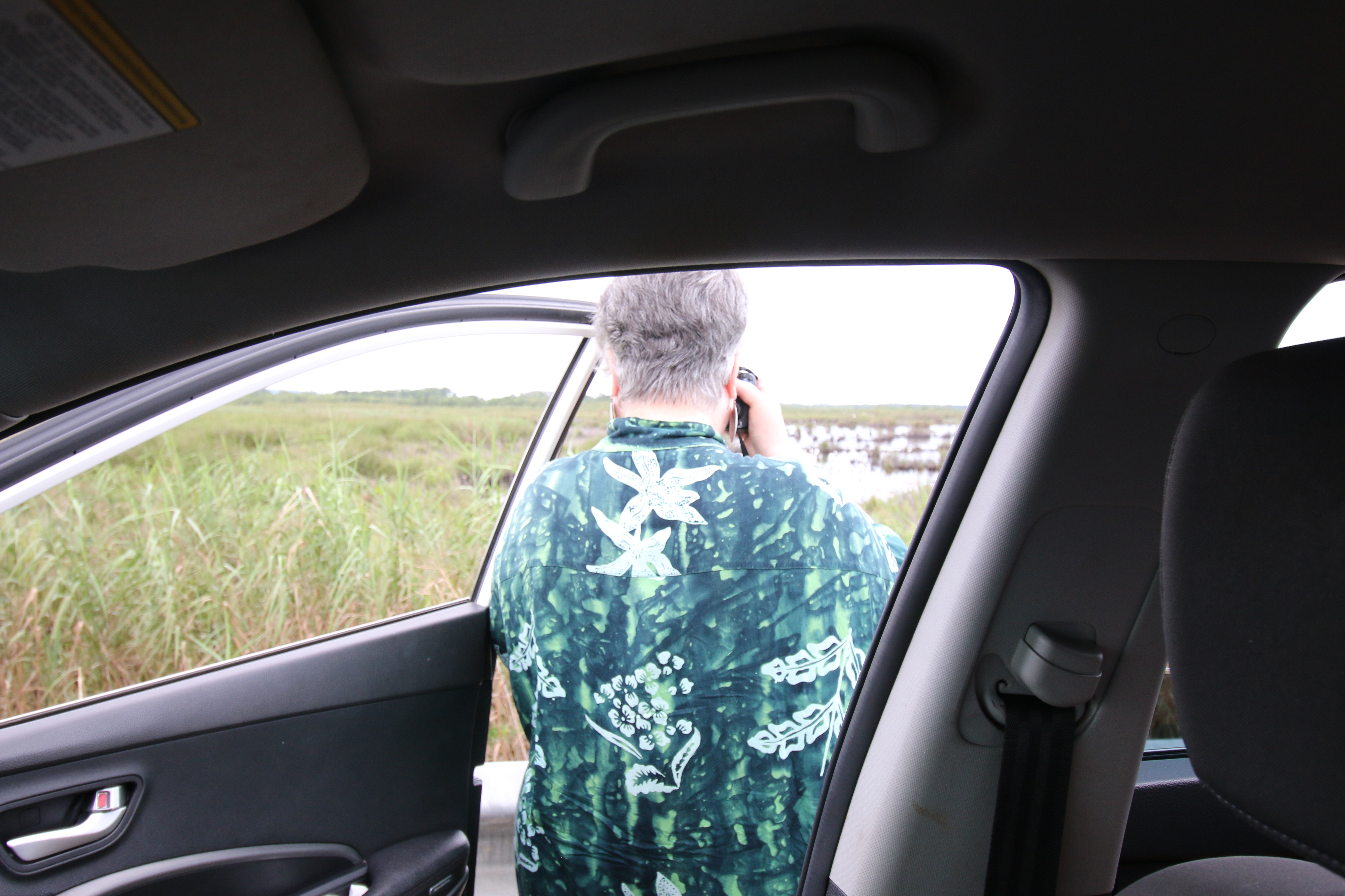 Vicki by the side of the road capturing birds