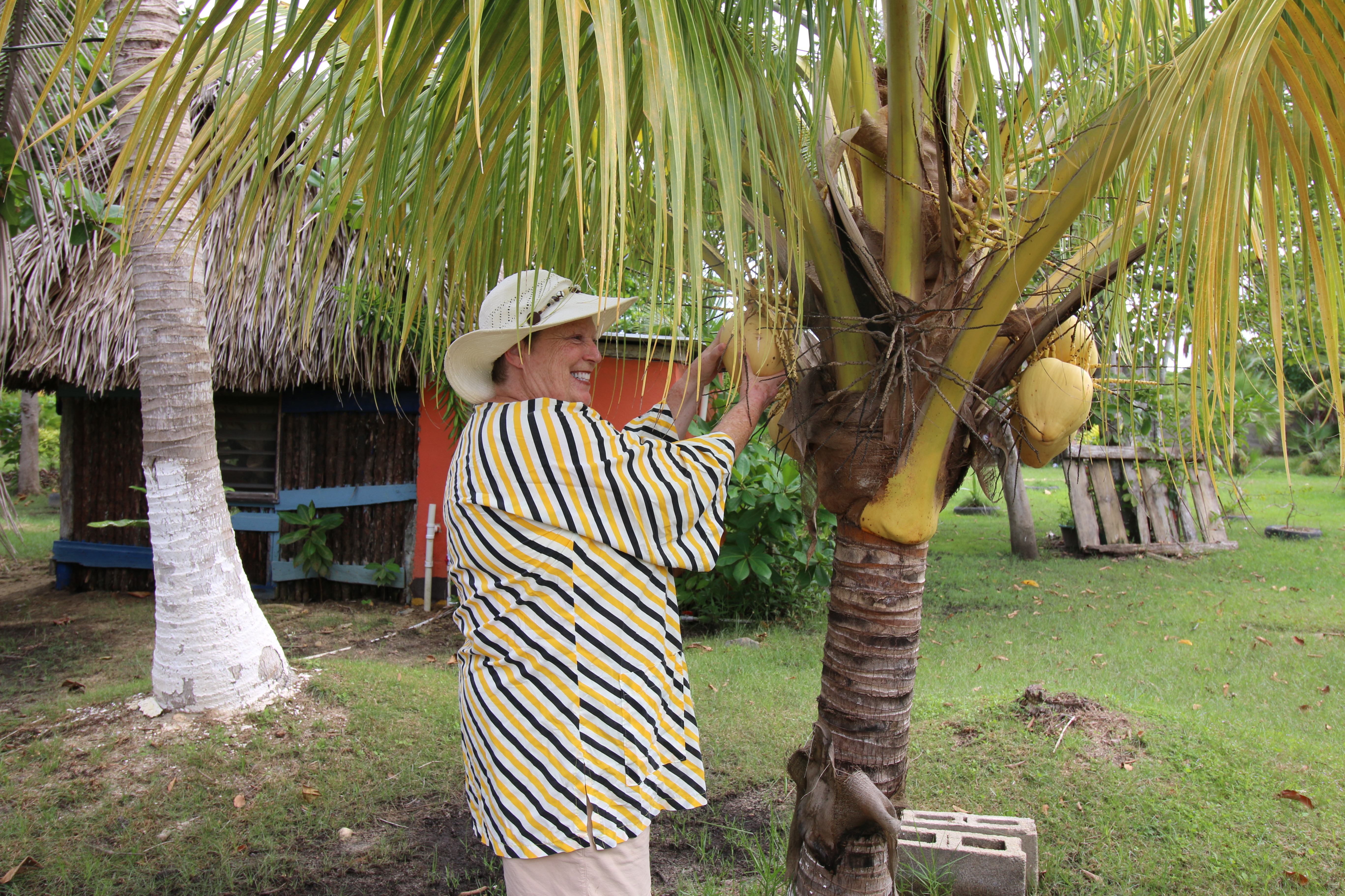 Picking my beverage of choice right off the tree