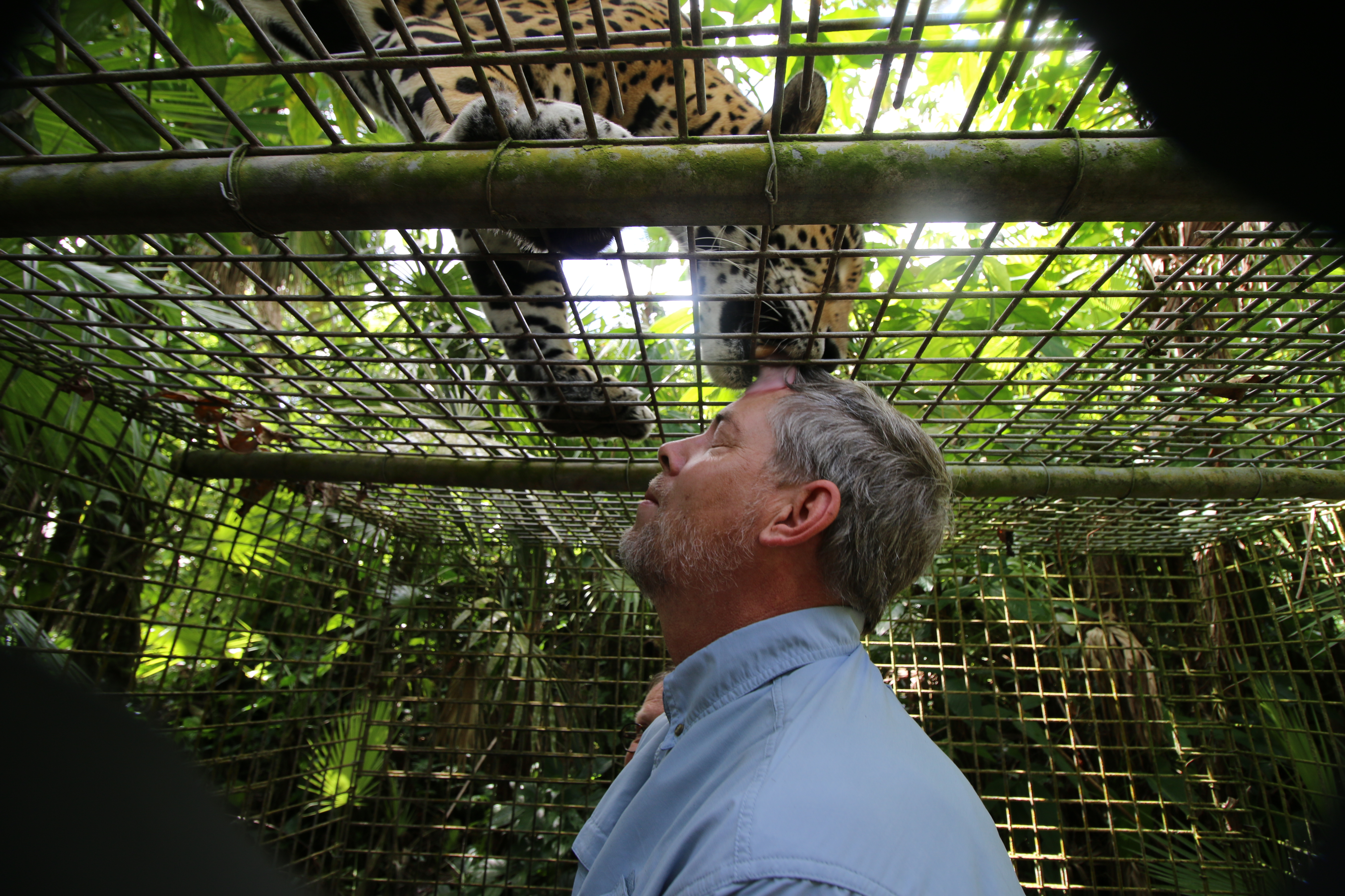 Mr. C. receiving his "kiss"