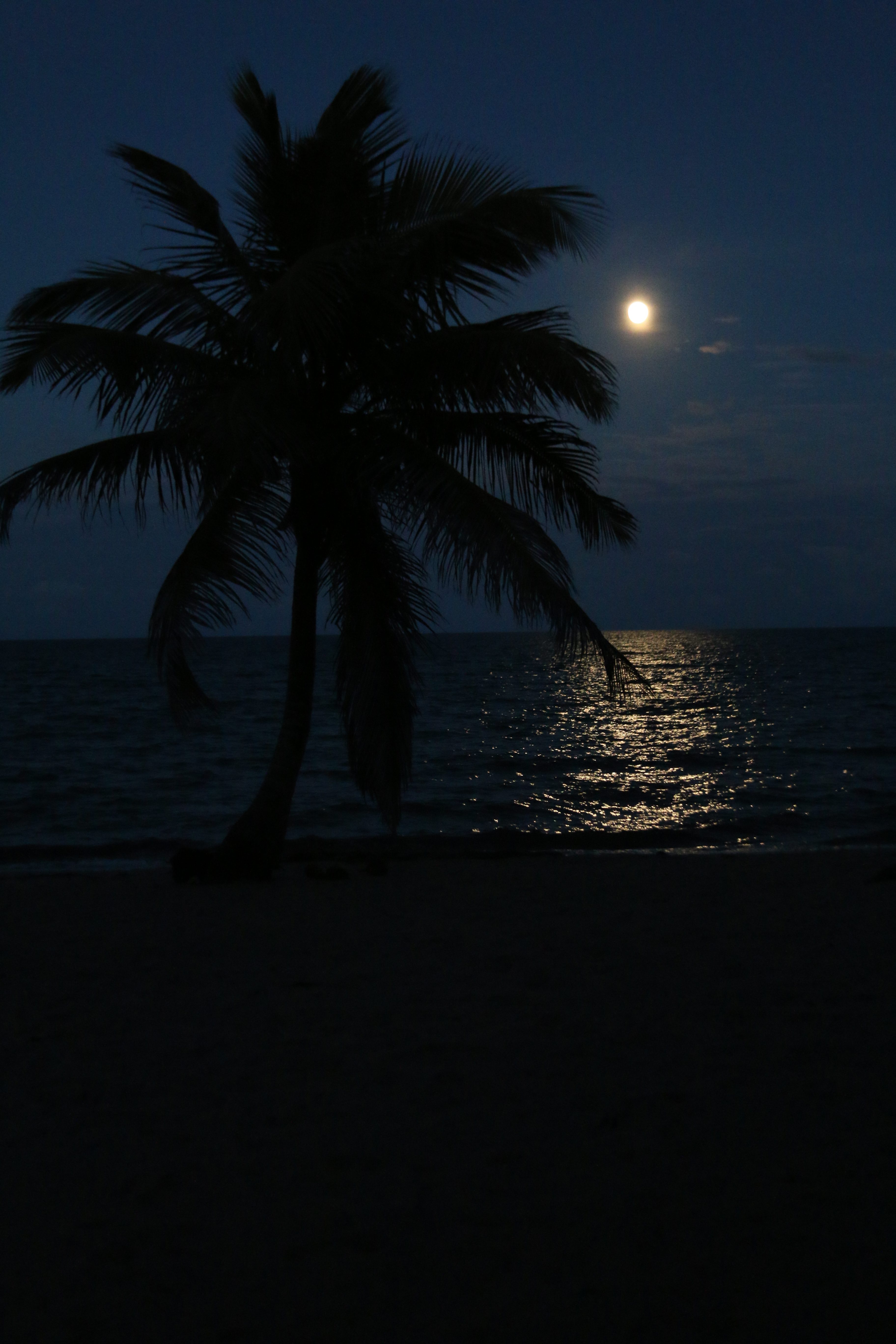 Moon over the water right in front of our suite