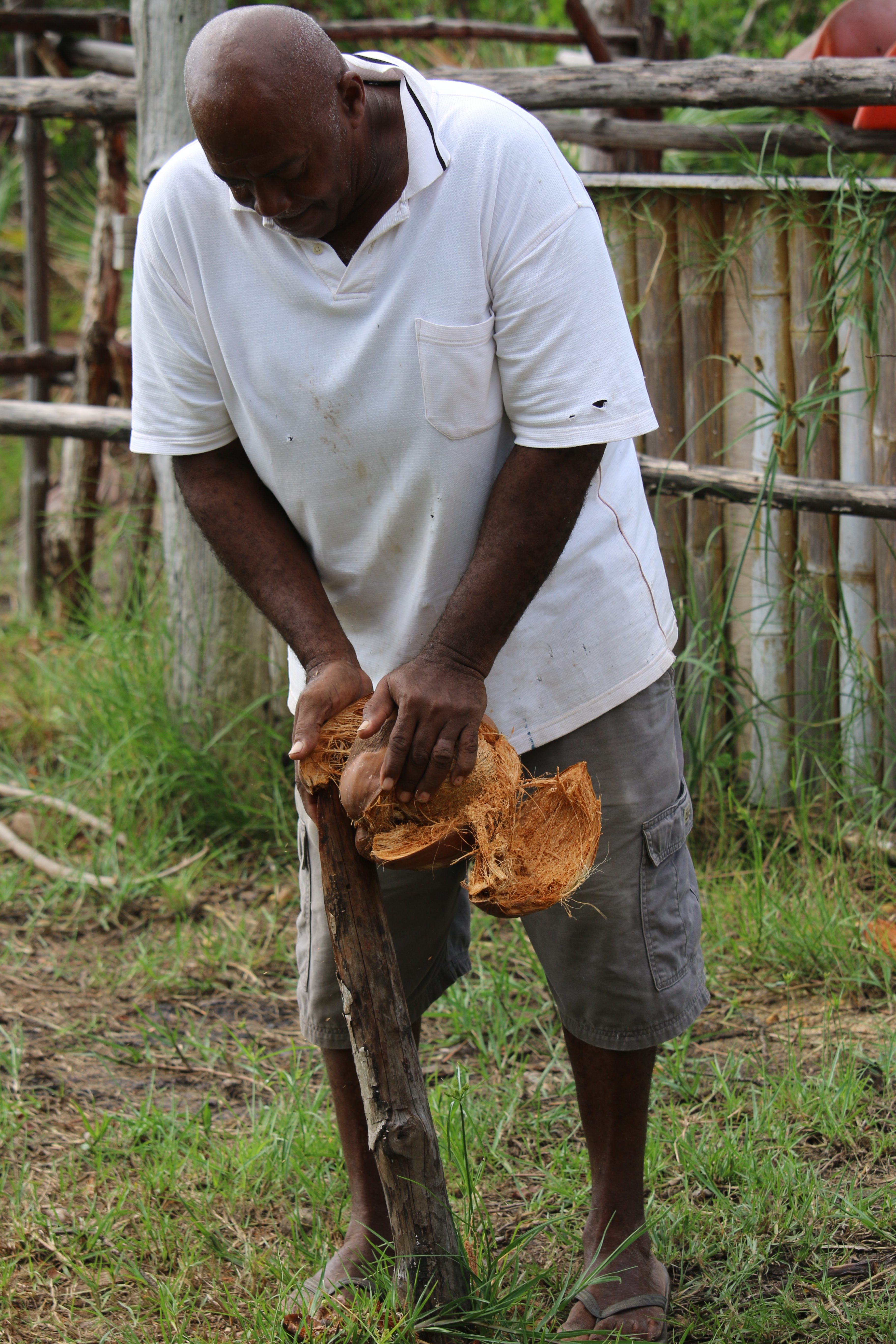 Eugen made husking a coconut look easy